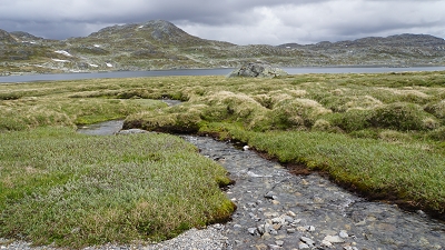 bilder/blog/04_Hardangervidda/web_DSC02552.JPG