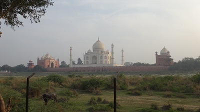 bilder/blog/13_Nordindien/02_Agra/web_DSC02982.JPG