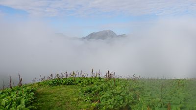  Foto: Über Almwiesen