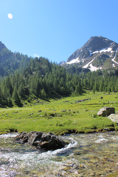 Wo der Wildbach rauscht Foto: Valdieri_03