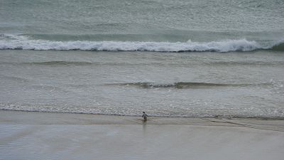  Foto: 5837
