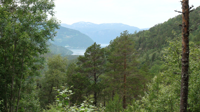 Weg nach Kinsarvik - Blick auf Hardangerfjord Foto: Weg_nach_Kinsavik_Blick_auf_Hardangerfjord