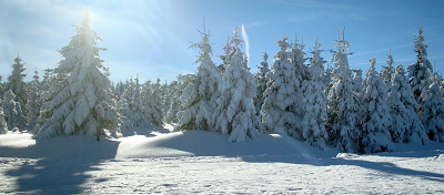 bilder/start/titelbilder_04/web_Panorama_Weg.JPG